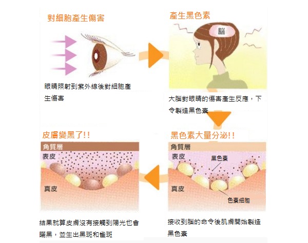 預防紫外線有絕招 挑選抗uv太陽眼鏡時不可不知的3數值 妳的煩惱顧問 Trouble Care