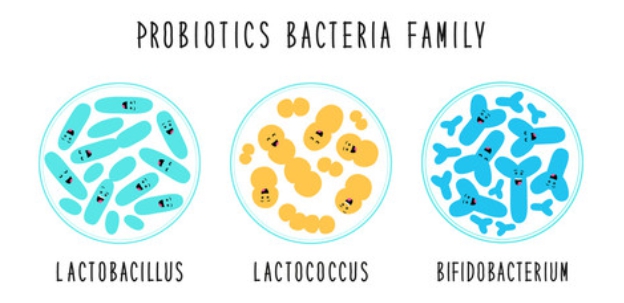 11款熱門益生菌推薦 Ptt Dcard網友改善過敏 腸道保健的秘密都在這 妳的煩惱顧問 Trouble Care