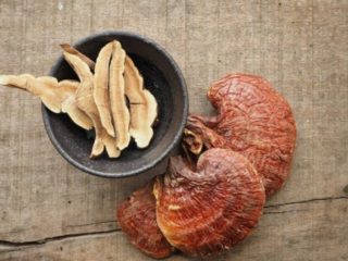 靈芝 護肝神仙草 靈芝到底有哪些種類 功效和禁忌 看這一篇就夠 妳的煩惱顧問 Trouble Care